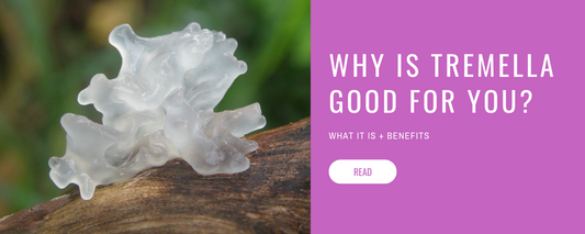 Next Level Skin Care with Tremella Fuciformis
